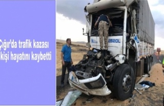 Çığır'da trafik kazası 1 kişi hayatını...