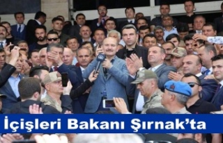 İçişleri Bakanı Soylu Şırnak'ta