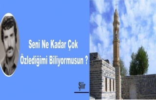 Çok özledim seni Biliyormusun?