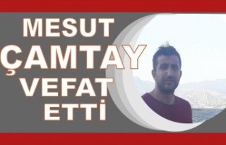 Mesut Çamtay vefat etti