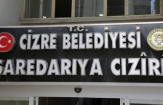 Cizre'ye kayyum atandı