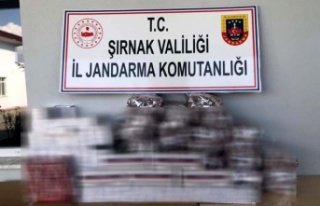 Şırnak'ta uyuşturucu ve kaçakçılık operasyonu:...