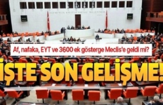 25 Kasım Meclis gündemi! Af, nafaka, EYT ve 3600 ek...