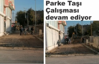 Parke taşı çalışması devam ediyor