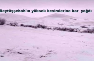 Beytüşşebab'ın yüksek kesimlerine kar yağdı