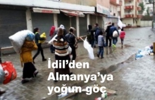 İdil’den Almanya’ya yoğun göç