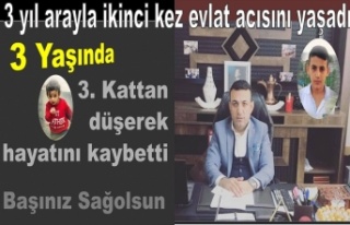 3. Kattan düşerek hayatını kaybetti