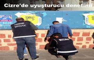 Cizre'de uyuşturucu denetimi