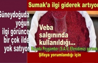 Sumak'a ilgi devam ediyor Güneydoğu Anadolu...