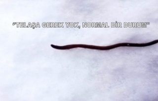 ''TELAŞA GEREK YOK, NORMAL BİR DURUM''