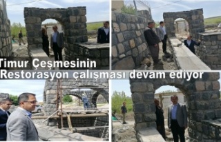 Timur Çeşmesinin Restorasyon çalışması devam...