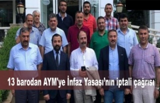 13 barodan AYM'ye İnfaz Yasası’nın iptali...