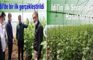 İdil'in ilk Serasında Hasat töreni