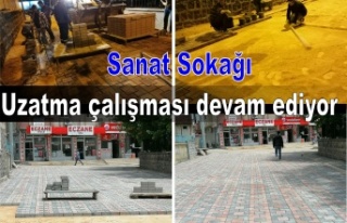 Sanat sokağı uzatma çalışması devam ediyor