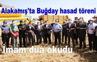 Alakamış'ta Buğday hasad töreni