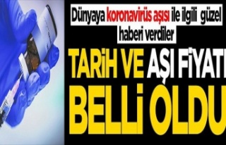 'Aşı fiyatı belli oldu' Kronavirüs aşısı