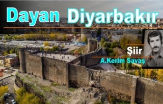 DAYAN  DIYARBAKIR