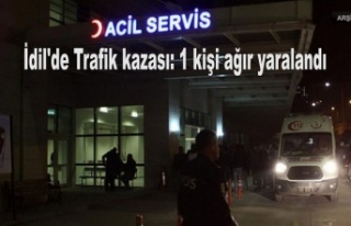 İdil'de Trafik kazası: 1 kişi ağır yaralandı