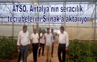 ATSO, Antalya'nın seracılık tecrübelerini...