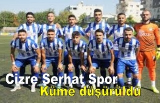 Cizre Serhat Spor şike gerekçesiyle küme düşürüldü!.