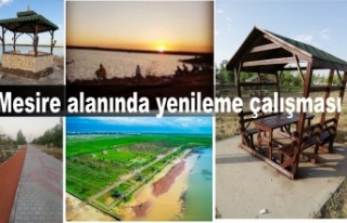 Mesire alanında yenileme çalışması