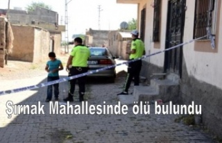 Şırnak mahallesinde ölü bulundu