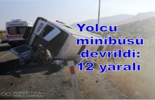 Yolcu minibüsü devrildi: 12 yaralı