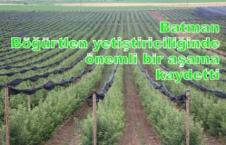 Batman Böğürtlen yetiştiriciliğinde önemli bir...