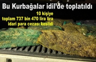 İdillin Kurbağaları satılacaktı olmadı...suç...