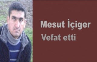 Mesut İçiger vefat etti