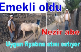 Satlık At