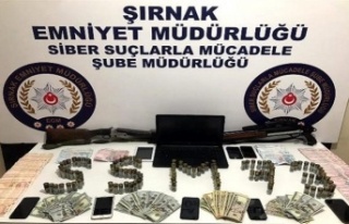 Cizre'de suç örgütüne operasyon 29 milyon...
