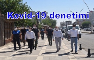 Kovid-19 denetimi