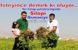 Yer fıstığı yetiştiriciliğinde Osmaniye'ye...