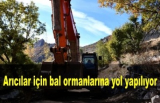 Arıcılar için bal ormanlarına yol yapılıyor