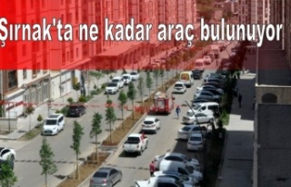 Şırnak'ta ne kadar araç bulunuyor ?