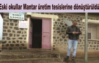 Eski okullar Mantar üretim tesislerine dönüştürüldü