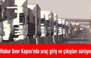 Habur Sınır Kapısı'nda araç giriş ve çıkışları...