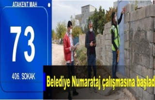 İdil Belediyesi 'Numarataj' çalışmasına...