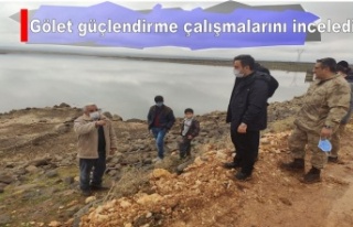 Kaymakam Gölette yürütülen güçlendirme çalışmasını...