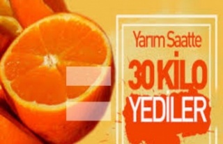 Bagaj ücreti ödememek için 30 kilo portakalı yediler