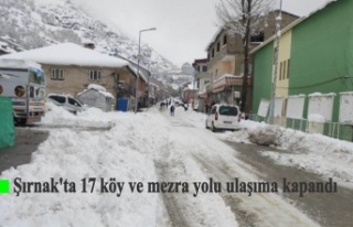 Şırnak'ta 17 köy ve mezra yolu ulaşıma kapandı