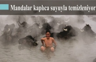 Mandalar kaplıca suyuyla temizleniyor