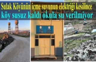 DEDAŞ İçme suyun elektriğini kesince köy susuz...