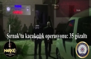 Şırnak'ta kaçakçılık operasyonu: 35 gözaltı