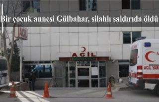 Bir çocuk annesi Gülbahar, silahlı saldırıda...