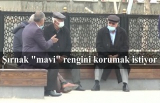 Şırnak "mavi" rengini korumak istiyor