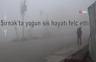 Şırnak'ta yoğun sis hayatı felç etti