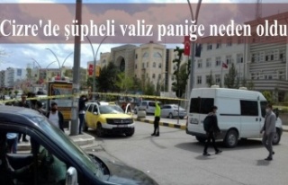 Cizre'de şüpheli valiz paniğe neden oldu