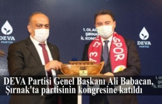 DEVA Partisi Genel Başkanı Ali Babacan, Şırnak'ta...